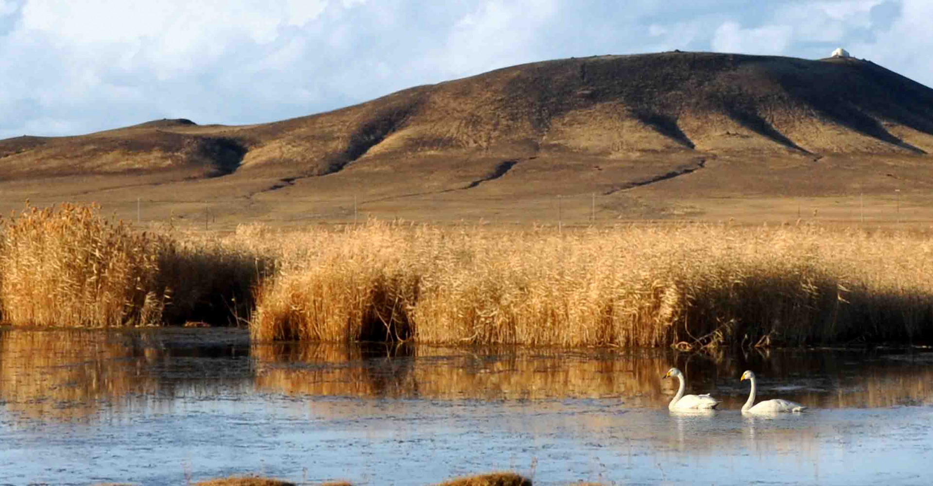 Sukhbaatar