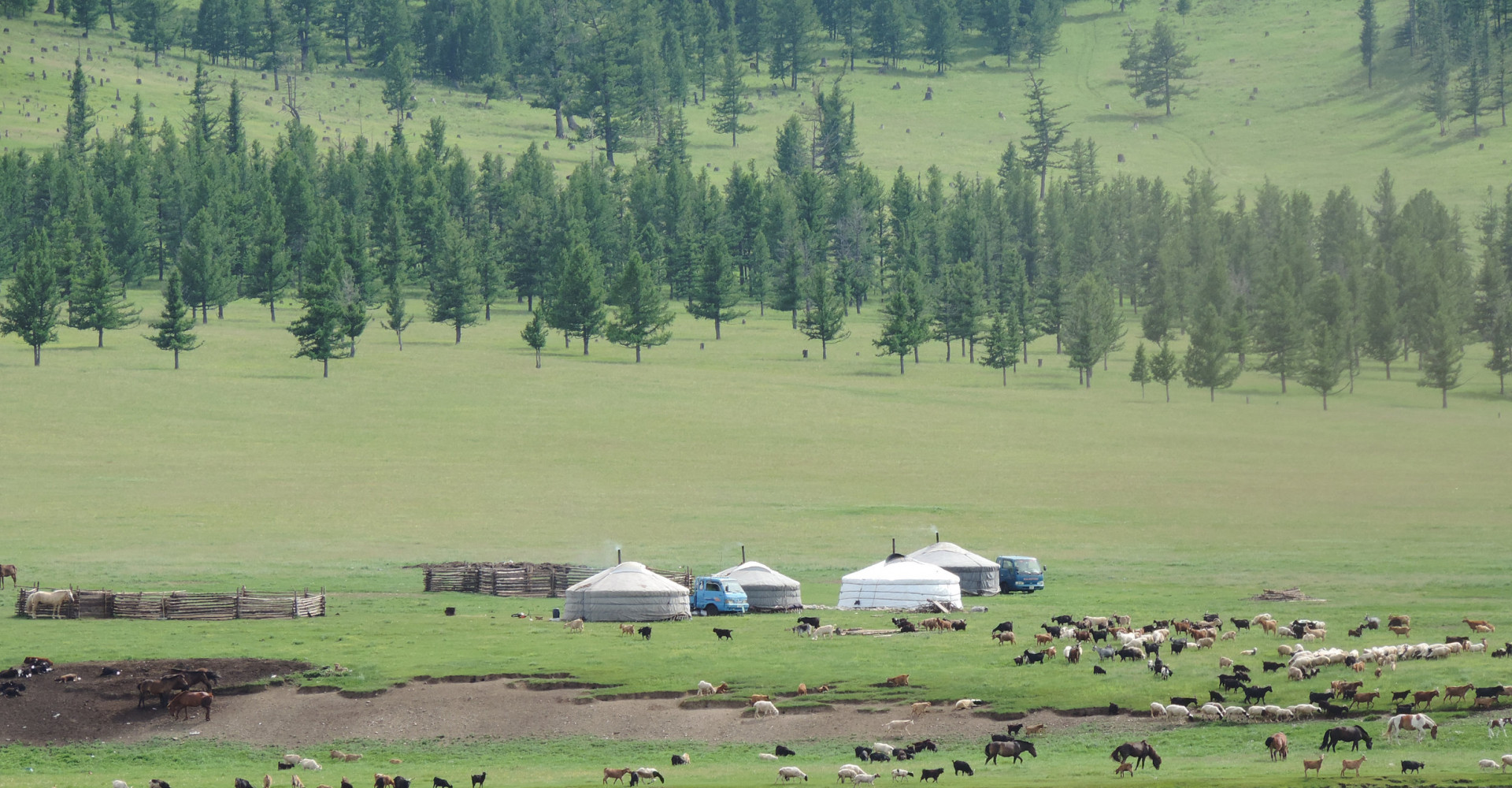 Bulgan