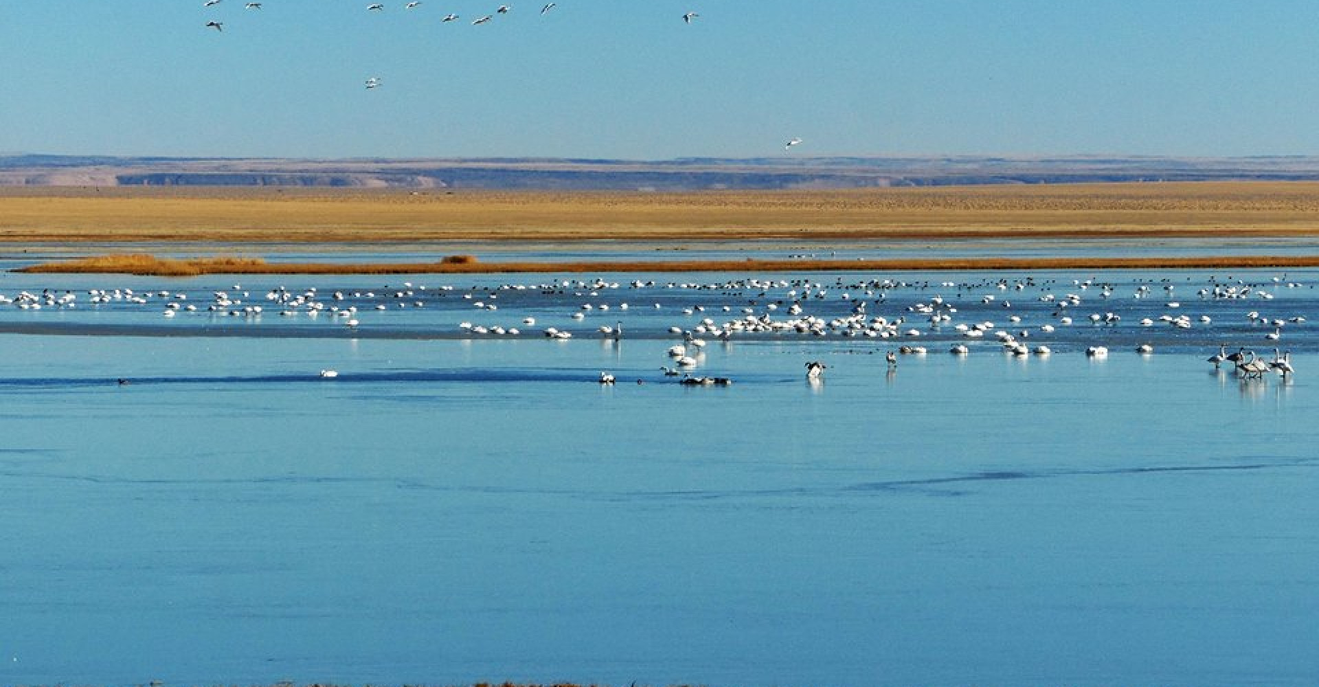 Kholboolj lake