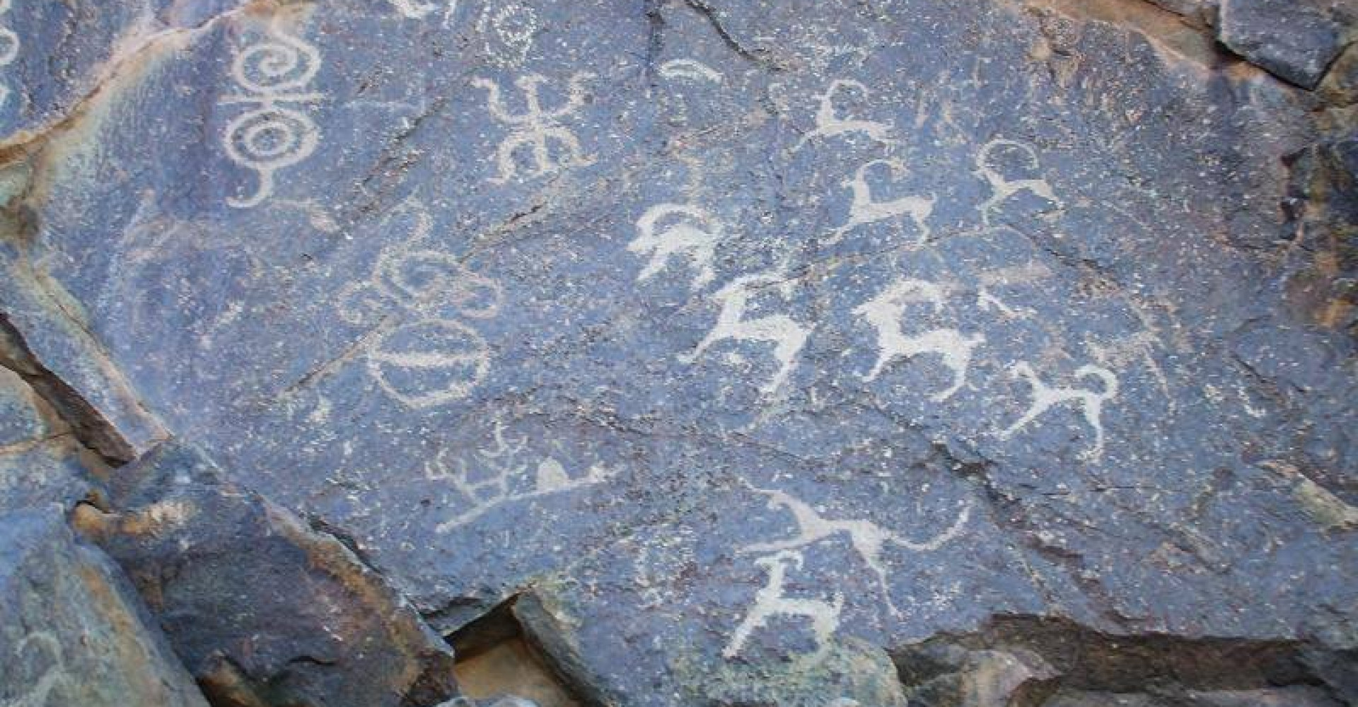 Rock Drawings of Shaahar Tolgoi