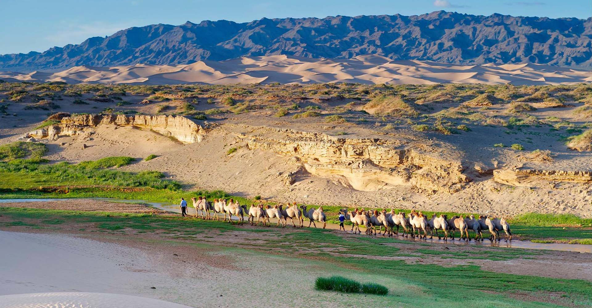 Southern Altai Gobi Strictly Protected Area