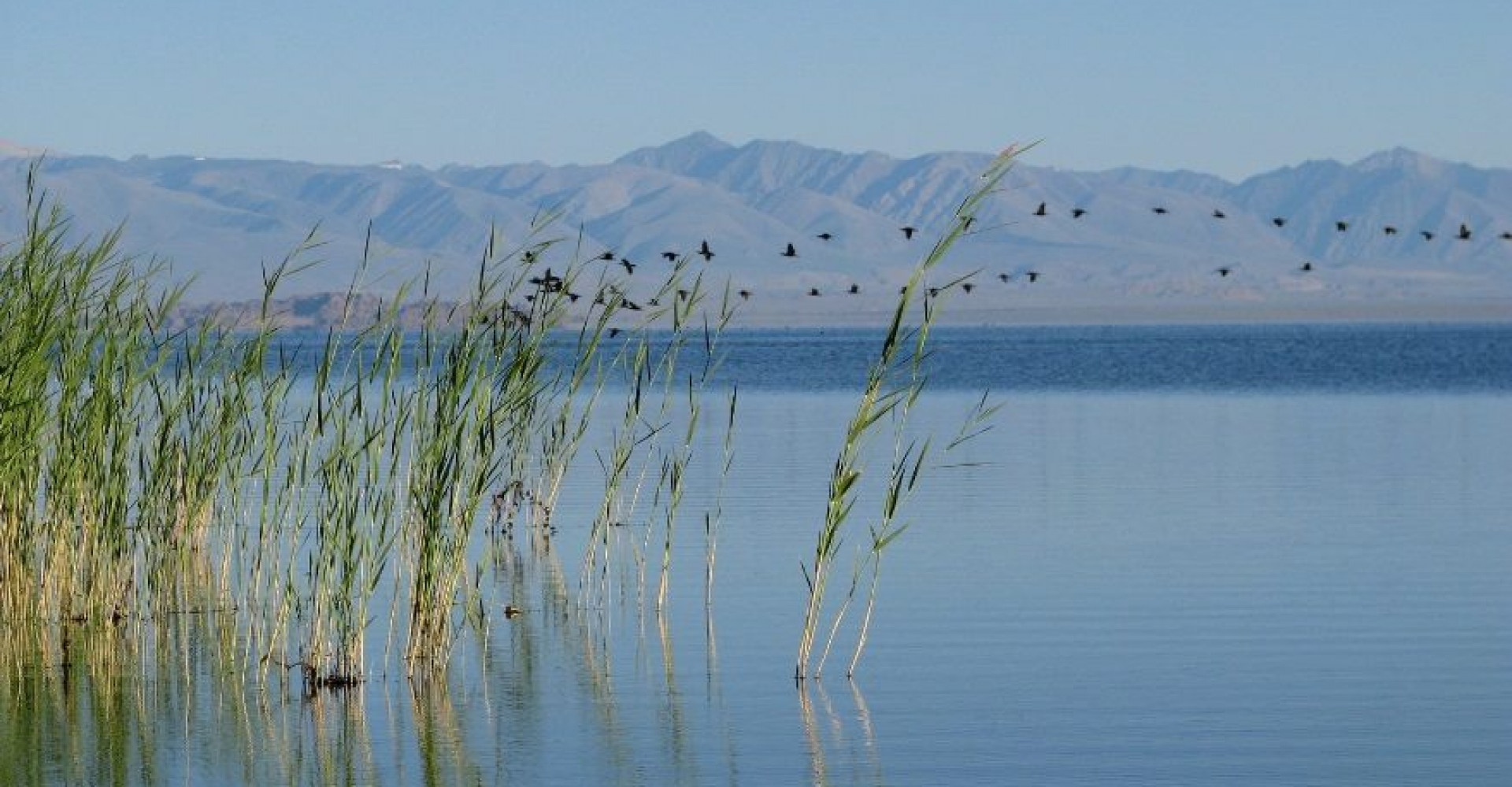 Buuntsagaan Lake
