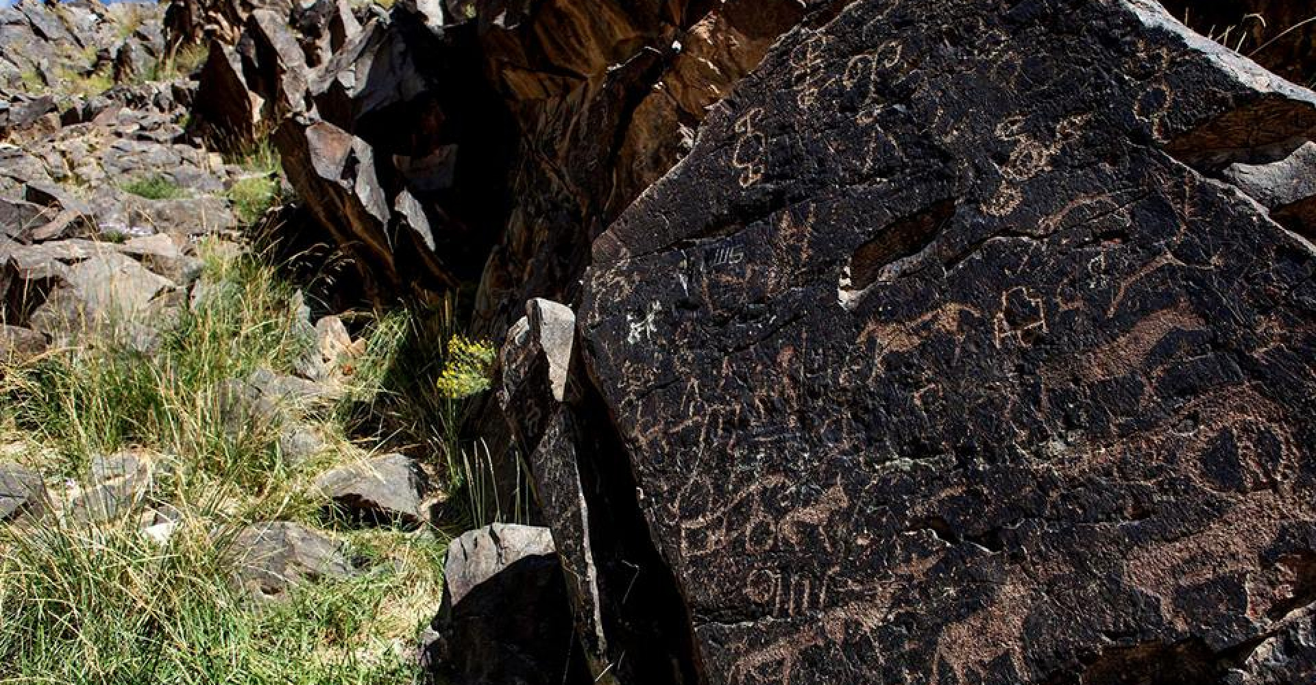 Tsagaan Gol Petroglyph