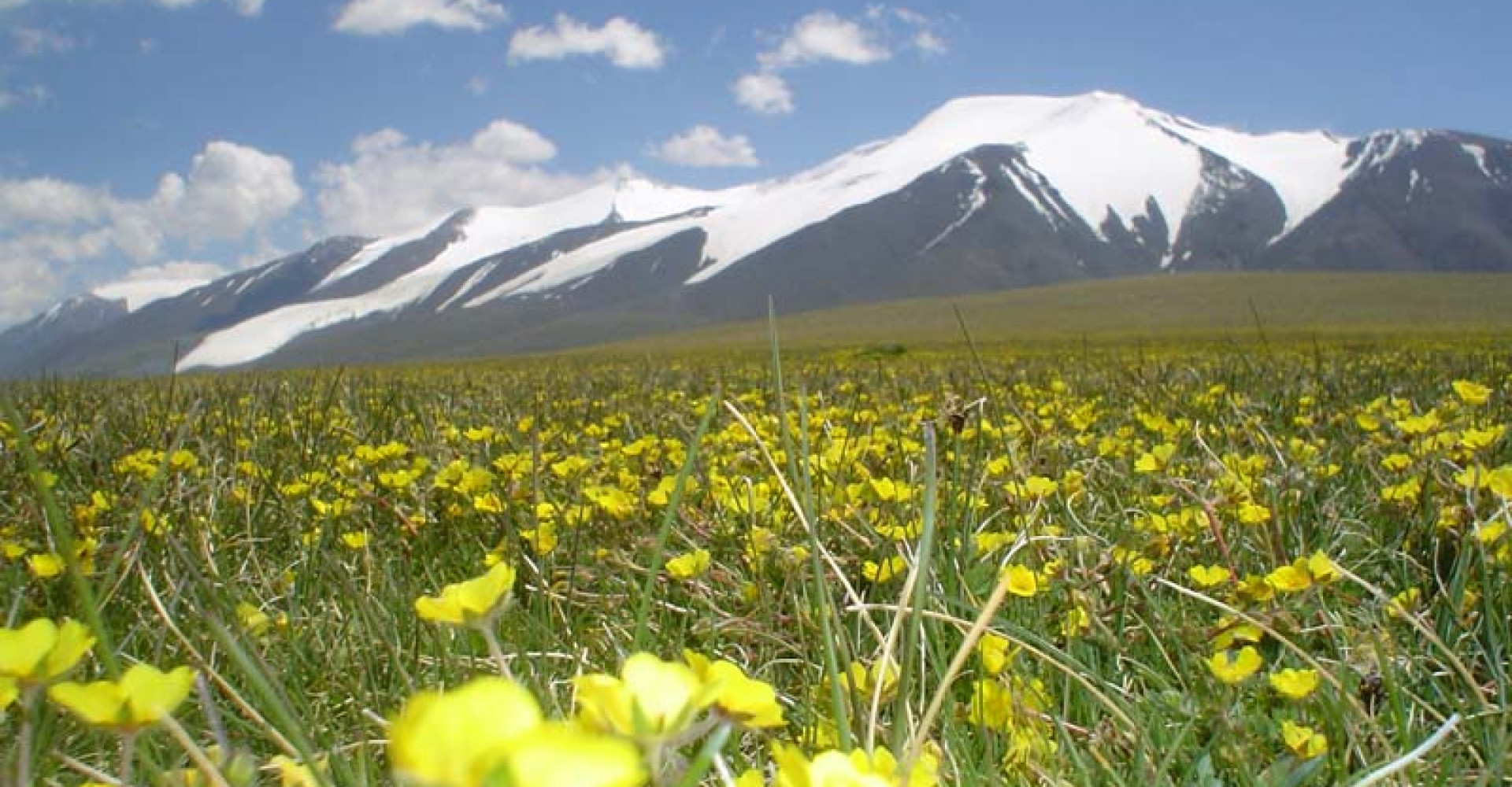 Tsambagarav Mountain National Park