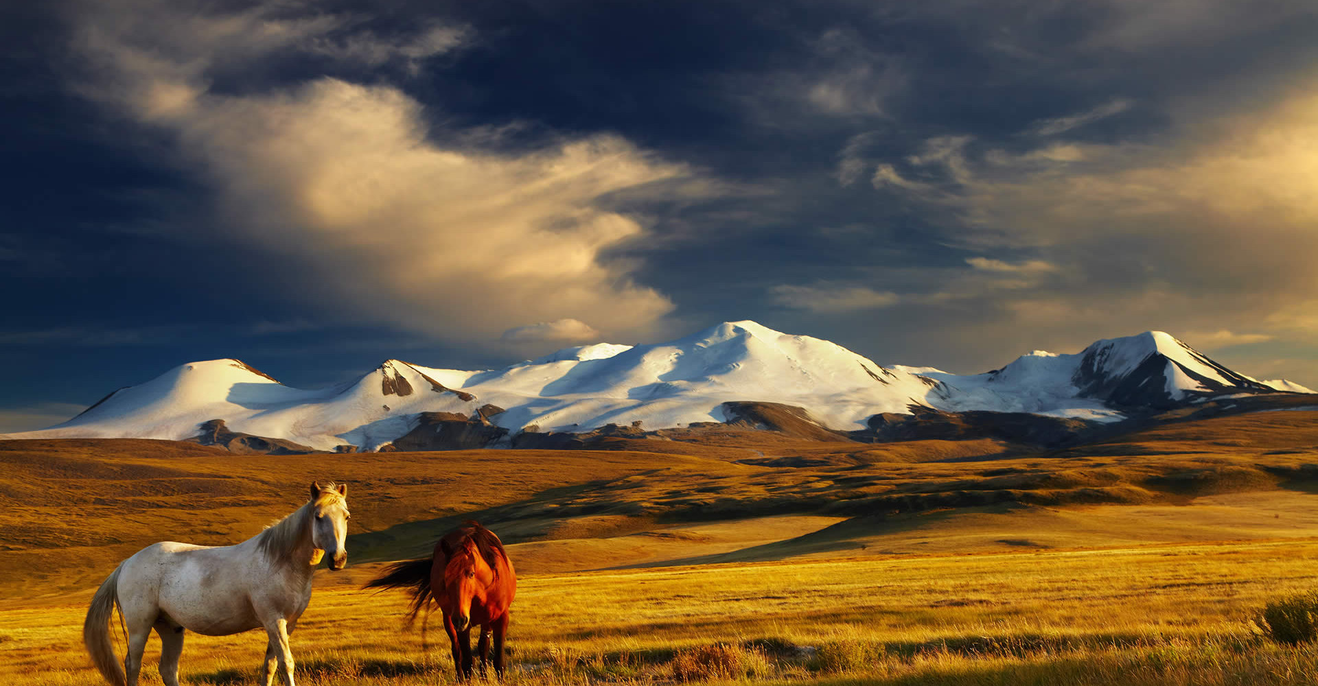 Ulgii
