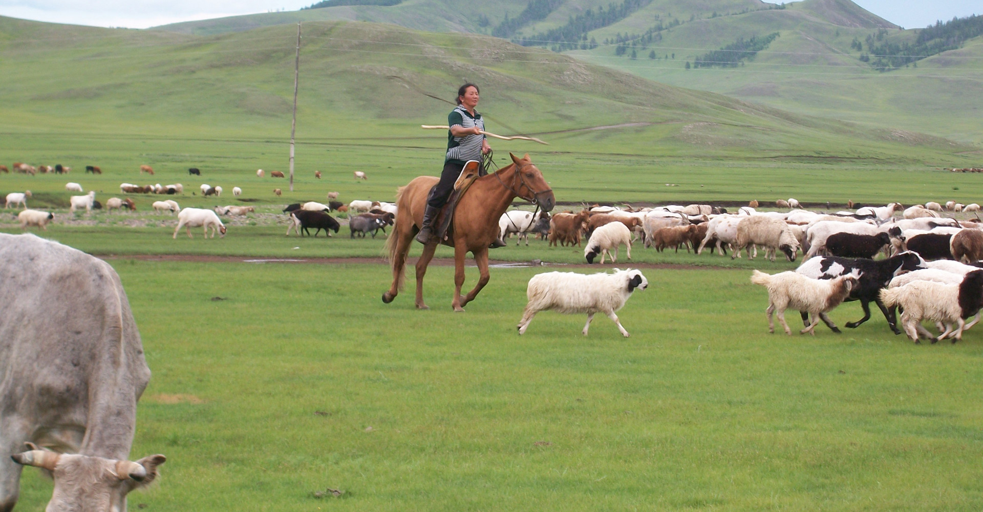Bayanzurkh