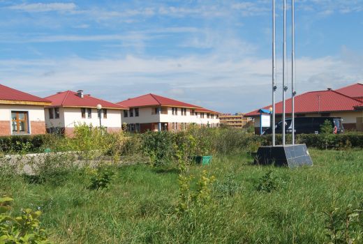 Khongor