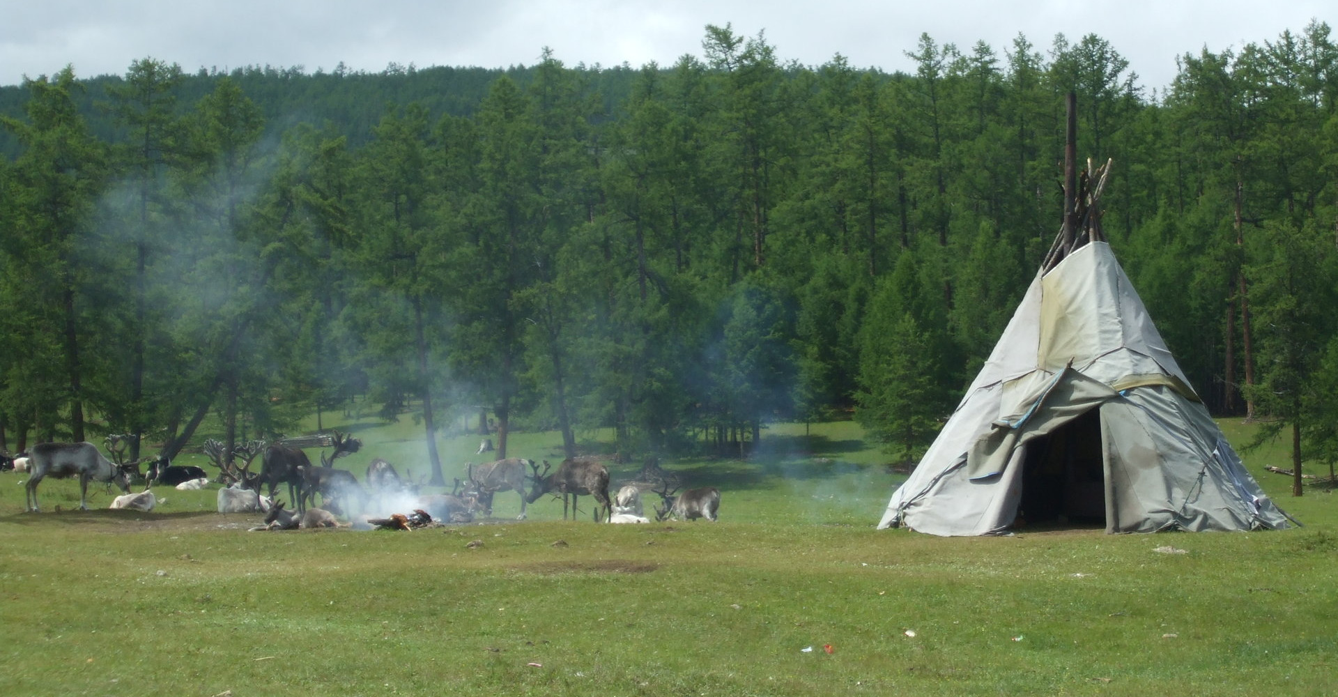 Erdenebulgan
