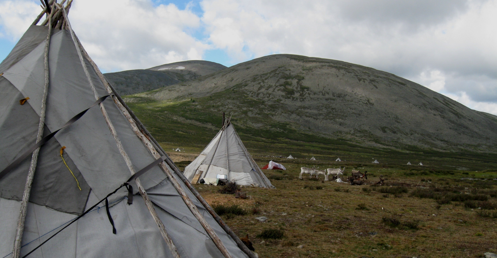 Burentogtokh