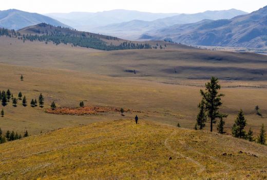 Darkhan