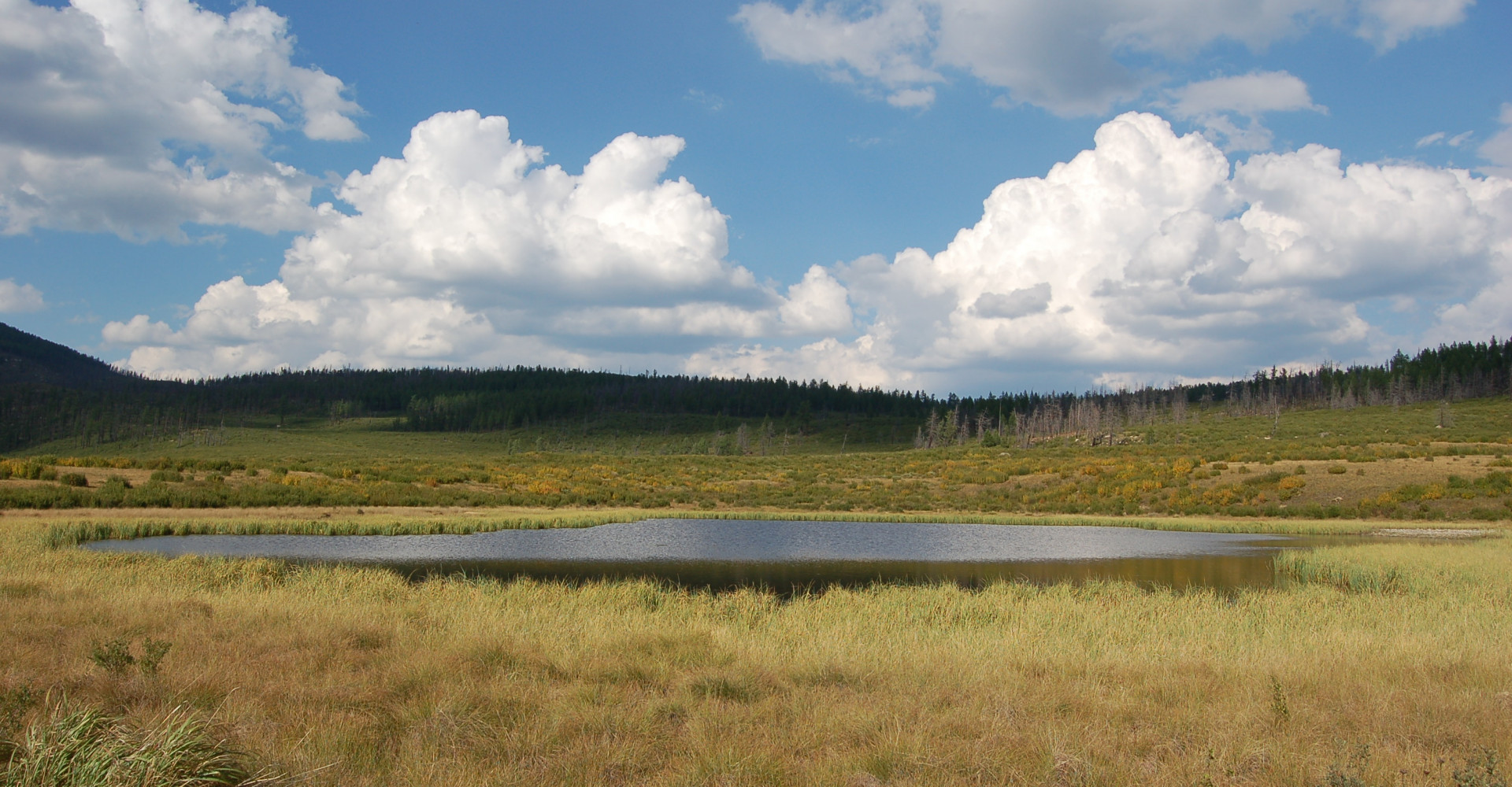 Jargaltkhaan