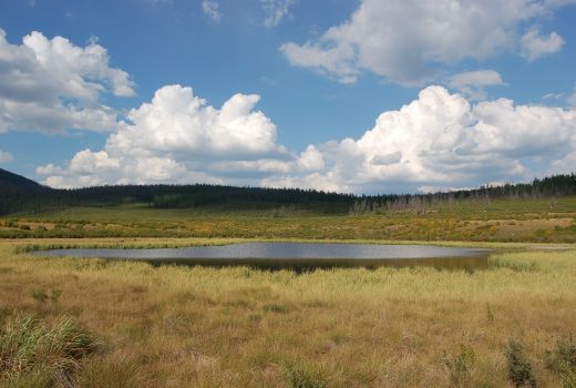 Jargaltkhaan