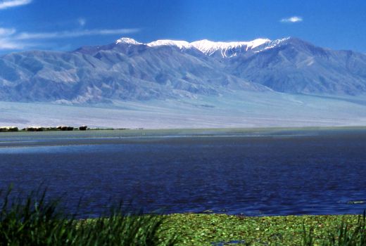 Bulgan