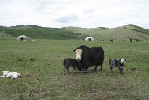 Baruunbayan-Ulaan