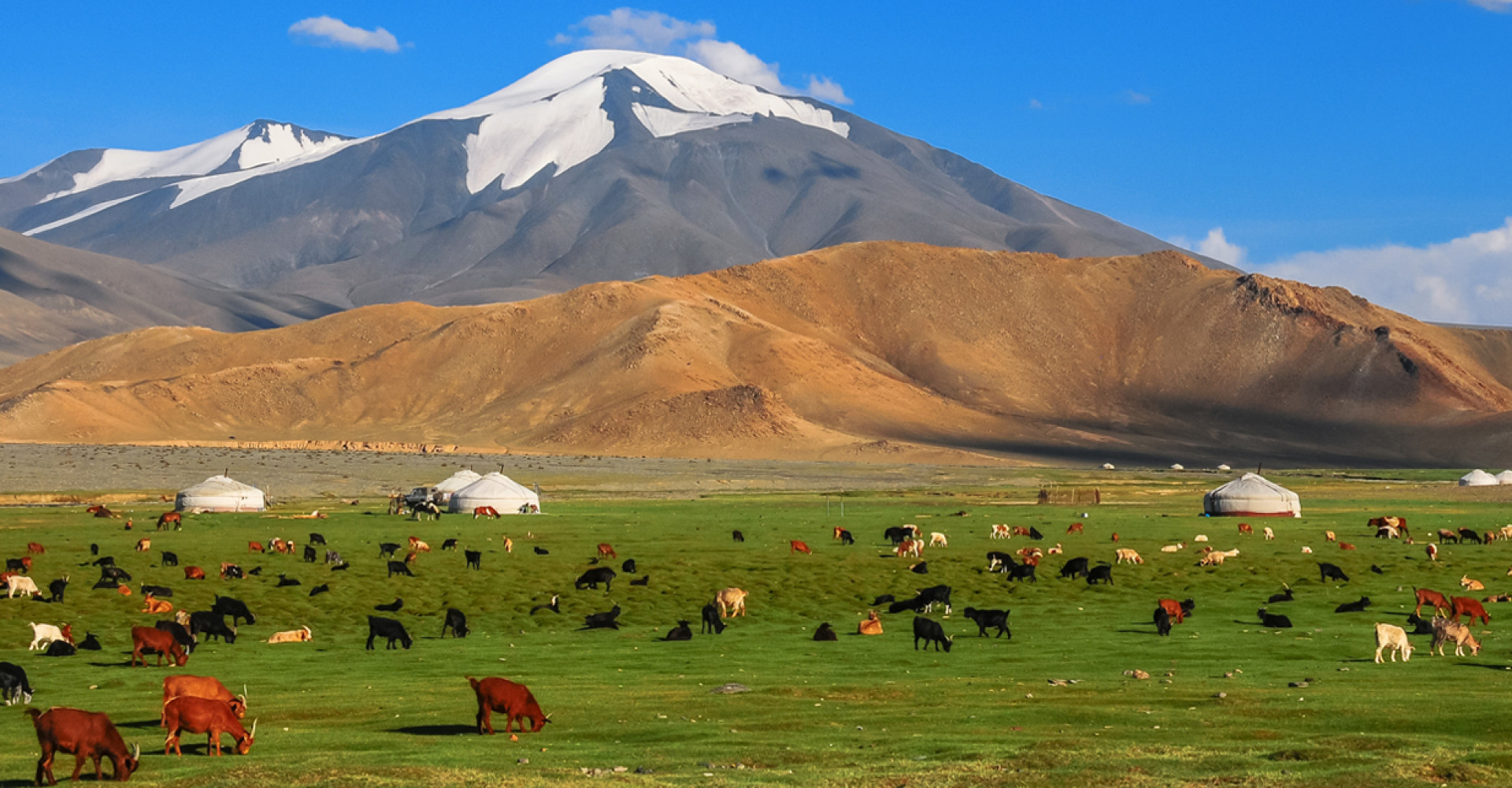 Altai