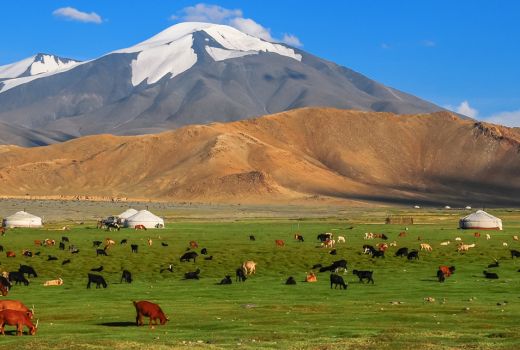 Altai  